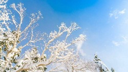 Минусовые отметки и северный ветер установятся в Южно-Сахалинске 13 марта 