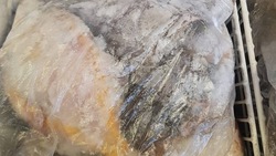 Свежую рыбу с минимальной наценкой доставили в Поронайск 20 ноября 