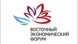 Сахалинский проект инвестора ТОР «Южная» представят на ВЭФ-2017
