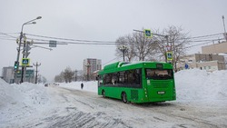 Более 190 автобусов вышли на маршруты в Южно-Сахалинске утром 29 января
