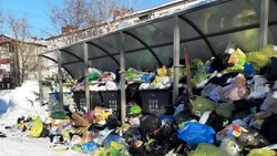 SKR-SOS: горы мусора в баках для сортировки печалят жителей Южно-Сахалинска