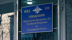 Полицейские Александровска-Сахалинского раскрыли кражу телефона