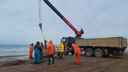 Около 100 тонн уйка поймал с начала сезона каждый стан в Томаринском районе 