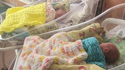 Десять пар двойняшек родились на Сахалине с начала 2024 года
