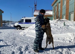 «Я понимаю все риски»: сахалинские студенты погрузились в профессию криминалиста