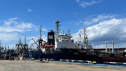Экспорт рыбы и морепродуктов на Сахалине и в Приморье за неделю вырос в шесть раз