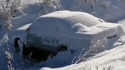 Неизвестный автомобиль с приморскими номерами после ДТП лежит под снегом в кювете на Сахалине