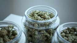 Девушка перепродала более 17 граммов марихуаны за 7000 рублей в Южно-Сахалинске