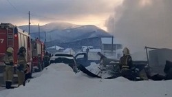 Крупный пожар в Березняках сняли на видео утром 4 января