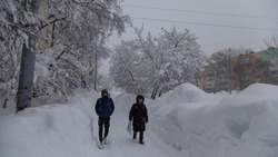 Подрядчики «провалили» работы по расчистке Южно-Сахалинска от снега