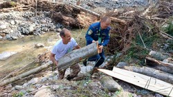 Сотрудники МЧС разобрали затор на реке Рогатке в Южно-Сахалинске