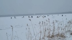 Тонкий лед на Буссе привлек десятки рыбаков с юга Сахалина 28 ноября