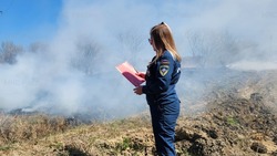 Пожар у кладбища потушили в Александровск-Сахалинском районе 