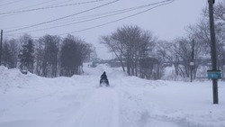 Сотрудники мэрии Корсакова доставили жителям хлеб на снегоходе