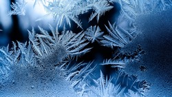Погода в Южно-Сахалинске 19 декабря: -14 ночью и высокое атмосферное давление