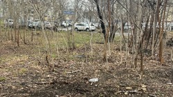 Жители Южно-Сахалинска пожаловались на разбросанные шприцы и бутылки за забором художественной школы