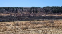 В Углегорском районе Сахалина сгорело полгектара сухой травы