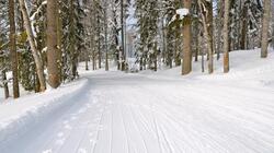 Лыжные трассы на Сахалине оснастят камерами видеонаблюдения