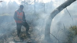В Амурской области мужчина устроил пожарище в природном заповеднике, погибли краснокнижные журавли
