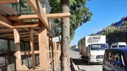 Администрация Южно-Сахалинска накажет подрядчика за порчу деревьев и мусор
