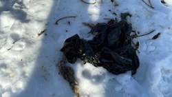 Неизвестные выбросили бараньи кости по дороге к дачам на севере Южно-Сахалинска 