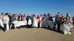 Более 60 волонтеров устроили субботник на озере Изменчивом 12 октября