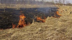 Сухая трава на площади 2 гектара вспыхнула в Анивском районе 26 апреля